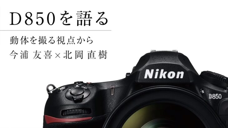 D850を語る「動体を撮る視点から」 写真家 今浦友喜 × D850商品企画者 | ニコン