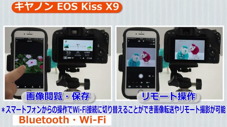キヤノン デジタル一眼レフカメラ EOS Kiss X9（カメラのキタムラ動画_Canon）