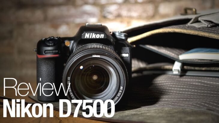 Nikon D7500 DSLR Camera Review