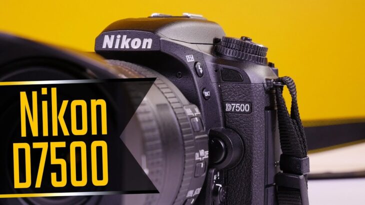 Nikon D7500: quali differenze rispetto a D500?