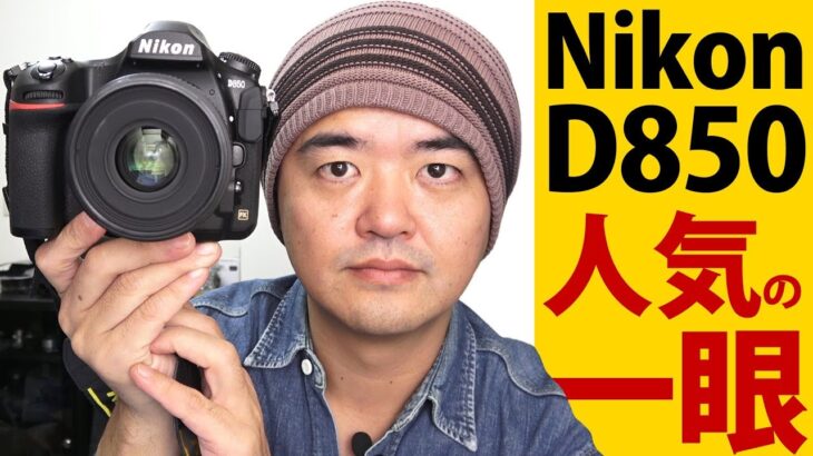 Nikon D850 大人気ニコン一眼レフと標準ズーム、超望遠ズーム、標準マイクロレンズで写真撮影してみた