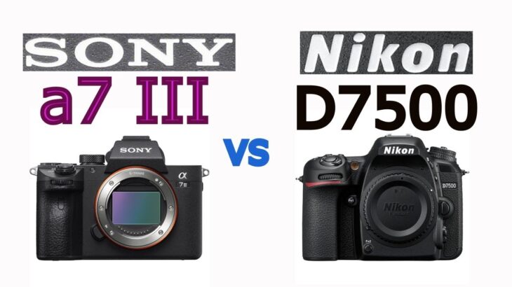 Sony Alpha a7 III vs Nikon D7500
