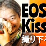 #157: EOS Kiss Mが来た！満開の桜をぶらぶらVLOG動画を撮り下ろしテスト！