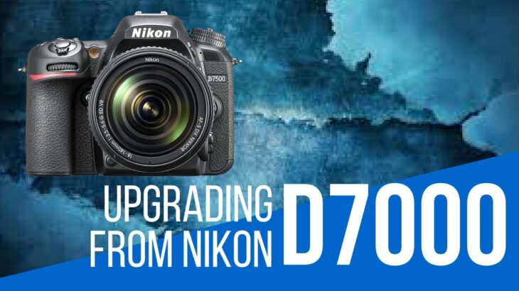Nikon D7100 vs Nikon D7200 vs Nikon D7500 – Upgrading from Nikon D7000… What Should I Buy?