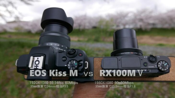 EOS Kiss M vs RX100M5【Full HD】kiss手ブレ補正 電子動画is強