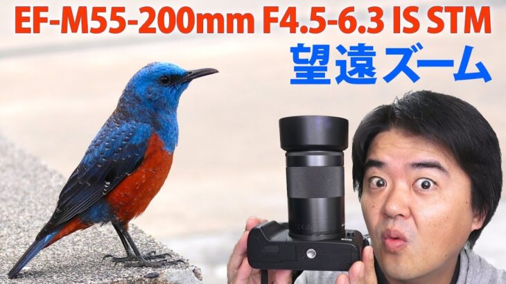 Canon EF-M55-200mm F4.5-6.3 IS STM 望遠ズームレンズ 軽くてコンパクトで人物撮影や風景に！ EOS Kiss M で撮影