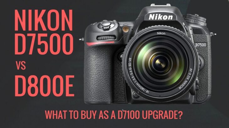 Nikon D800E vs Nikon D7500 as a Nikon D7100 Upgrade? What to Buy?