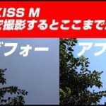 eos kiss m RAWデータを編集する part1