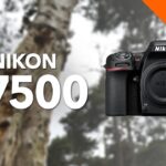Nikon D7500 review – Kamera Express