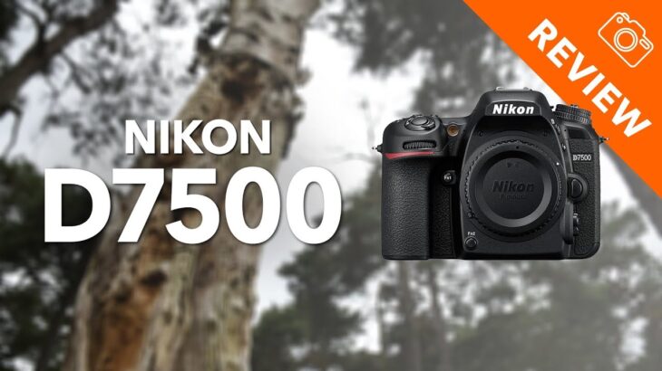 Nikon D7500 review – Kamera Express