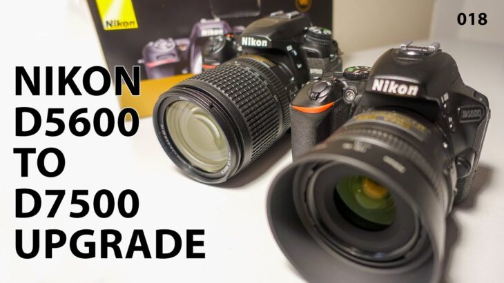 Nikon D5600 to Nikon D7500 upgrade? I did it.