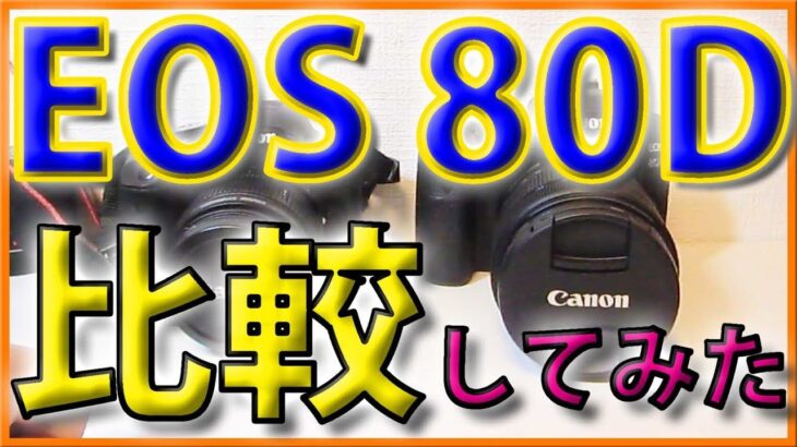 【カメラ比較動画】Canon EOS 80D　KISS X3と撮り比べてみた！
