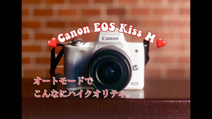 【Canon EOS Kiss M】オートモードで動画撮影してみた。