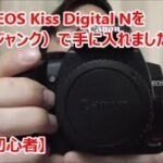 Canon EOS Kiss Digital Nを中古ジャンクで手に入れました【カメラ初心者】
