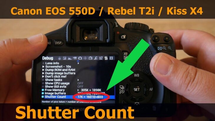 Reading Shutter Count of Canon EOS 550D/Rebel-T2i/Kiss-X4 with Magic Lantern