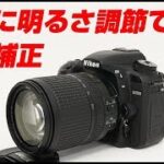 Nikon D7500 簡単に明るさを調節できる露出補正の設定方法