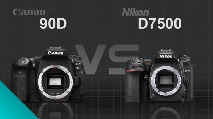 Canon EOS 90D vs Nikon D7500