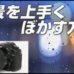 Nikon D7500 背景を上手くぼかすテクニック