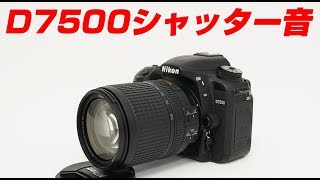Nikon D7500 シャッター音