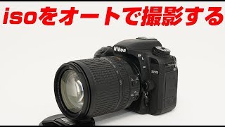 Nikon D7500 isoをオートで撮影をする方法