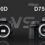 Canon EOS 90D vs Nikon D7500