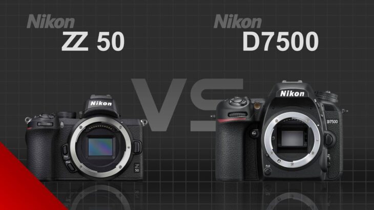 Nikon Z50 vs Nikon D7500