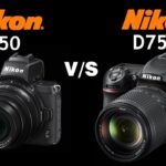 Nikon Z50 vs Nikon D7500 | Quick Camera comparison
