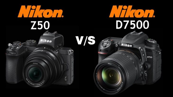 Nikon Z50 vs Nikon D7500 | Quick Camera comparison