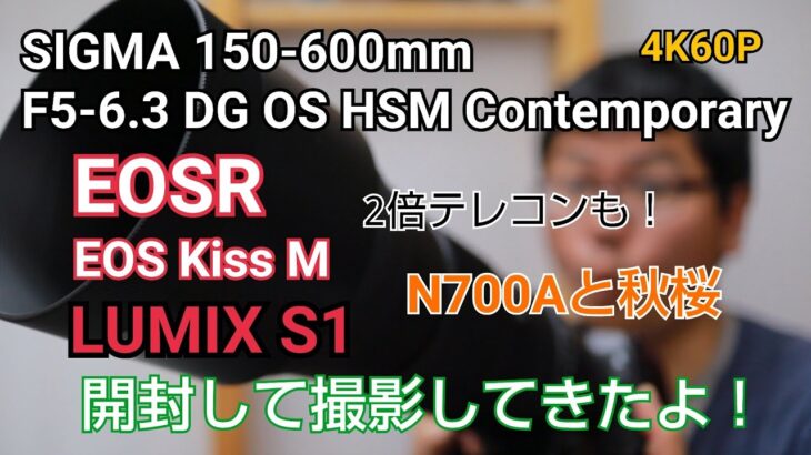 SIGMA 150-600mm F5-6.3 DG OS HSM Contemporary 開封レビュー！EOS R とLUMIX とS1 EOS Kiss M の三台で使ってみた！
