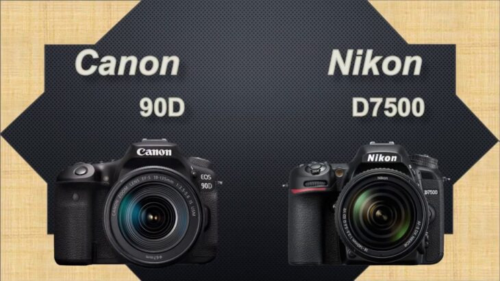 Canon 90D  vs  Nikon D7500