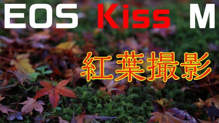 EOS Kiss Mで紅葉撮影やってみた