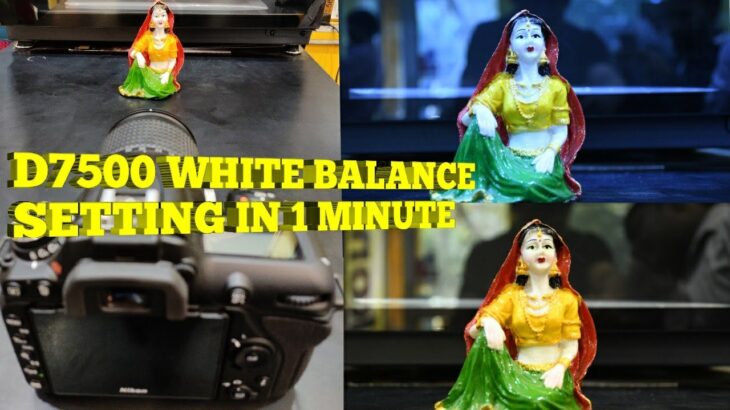 HOW TO SET Nikon D7500 PERFECT WHITE BALANCE SETTING IN 1 MINUTE