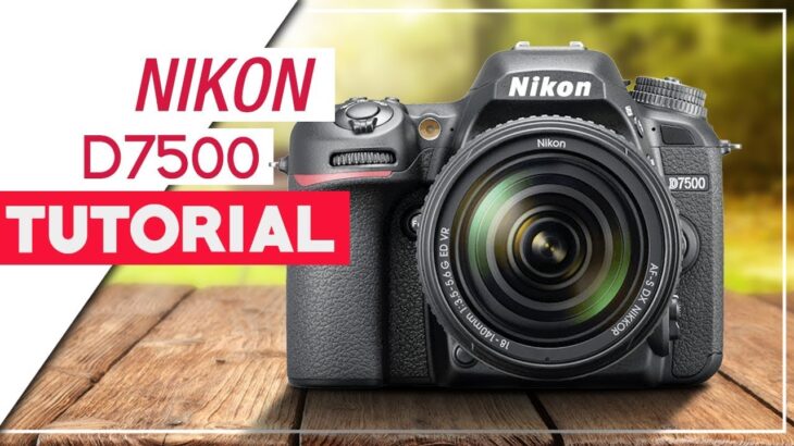 Nikon D7500 Tutorial – How To Setup Your DSLR