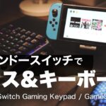 ニンテンドースイッチ × マウス・キーボード / GameSir – VX2 Aimswitch レビュー