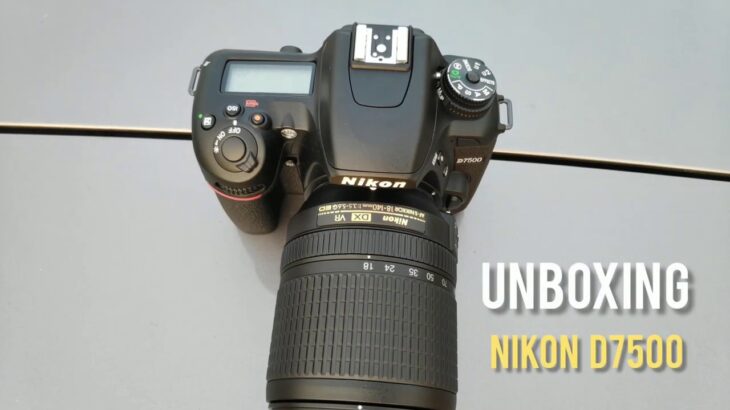 Nikon D7500 /  Best Camera for Wildlife Photography.