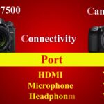 Nikon D7500 Vs Canon 90D | Nikon D750 Review | Canon 90D Review