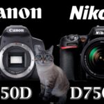 Canon EOS 850D / Rebel T8i vs Nikon D7500