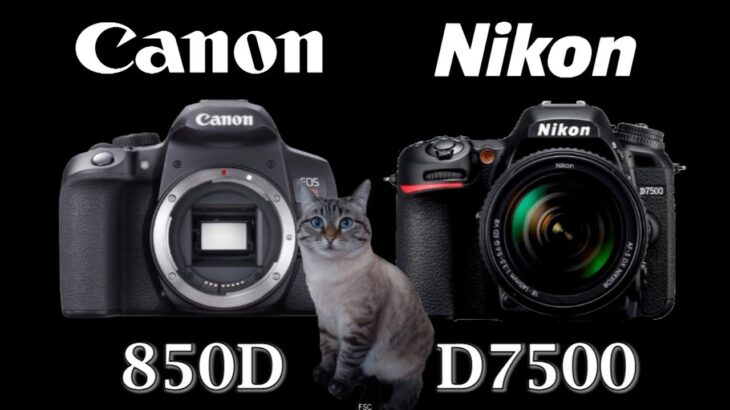 Canon EOS 850D / Rebel T8i vs Nikon D7500
