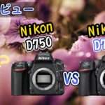 【カメラ比較】ニコンの一眼レフ D780とD750の違いとは！？