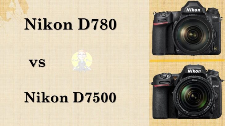 Nikon D780 VS Nikon D7500