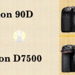 Canon 90D vs Nikon D7500