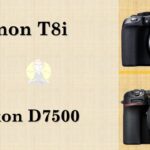Canon T8i VS Nikon D7500