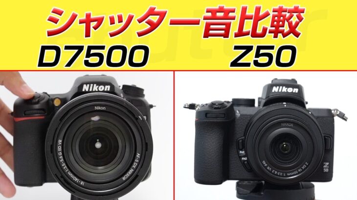 Nikon D7500とNikon Z50音比較　shutter sound