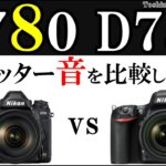 D780 シャッター音 D750 連射 比較 Nikon レビュー 一眼レフカメラ /JimaTube246
