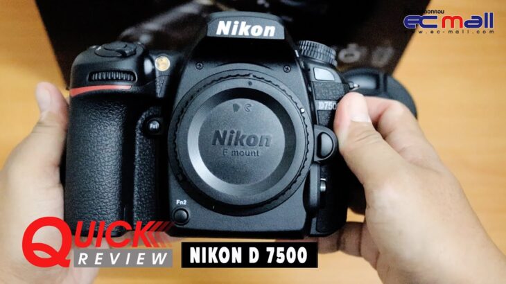 Quick Review : Nikon D7500