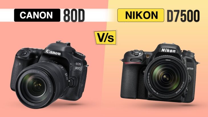 Nikon D7500 Vs Canon 80D | Comparison In Hindi