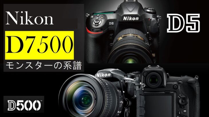【Nikon D7500】エントリー機の皮をかぶったモンスターカメラ～NikonのフラグシップD5 D500の系譜～