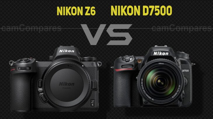Nikon Z6 vs Nikon D7500  [Camera Battle]