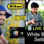 Nikon D7500 Photography White Balance Setting Live Demo