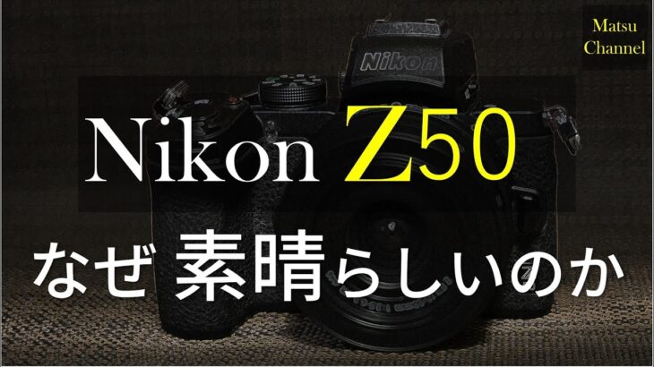 【Nikon Z50】Z6とD7500を持っている僕が なぜZ50を手に入れたのか～実はフルサイズいらないかも?～